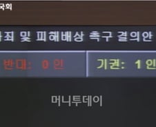 국회 독도·위안부 결의안 '기권1표', 무슨 일?
