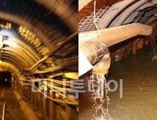 석탄가루로 덮힌 민둥산, 녹색산으로 탈바꿈한다