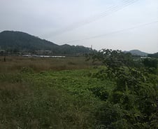 "이자부담에 '땅만 있는 거지' 신세 됐어요"