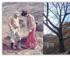 [르포]SK "사람 키우듯 나무 심는다"...40년 조림 현장 
