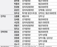 솜방망이가 '교도소 담장 위 정치인' 양산 