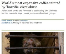 세계 최고가 '고양이 똥 커피', 이래도 먹고 싶을까 