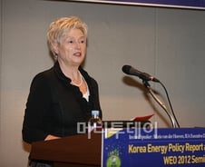 IEA 사무총장 "한국, 전기요금 15% 인상해야"