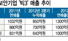 '구멍가게' 보안기업? 매출1000억 기업 속속 등장