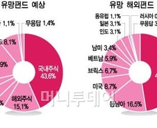 국내주식형 유망..해외선 中펀드