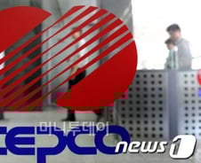 [단독]내년부터 '현대전력·포스코전기' 설립 가능