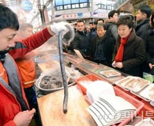 [단독]'연봉 5000만원 연체자'도 저금리 대출 전환 추진