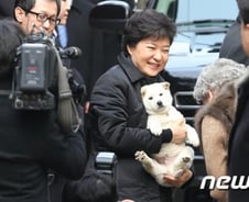[화보] 나무 주고 진돗개 받고…청와대로 향하는 박근혜 대통령