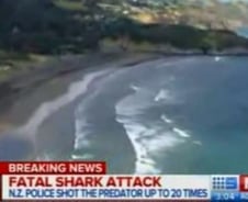 상어가 사람 물어뜯어..뉴질랜드에서 1명 사망 
