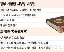 [단독]정부, 인터넷 고스톱 게임머니 법으로 규제