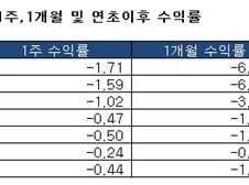 주식형펀드 3주째 마이너스, 중소형주 펀드 '부진'