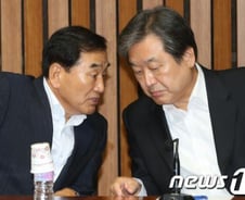 김무성 "NLL대화록, 원문 봤다고 한 적 없다"