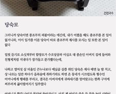 [오인태의 詩가 있는 밥상]장독대 수국 같은 아, 당숙모!