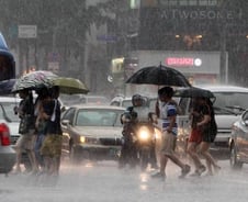 오락가락 소나기 "혹시 너 스콜이니?"