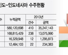 인도·인니 금융위기 공포…국내건설업체 영향은?