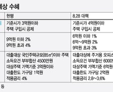 "몇백만원 아끼려고 수억짜리 집사나요?"