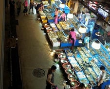 손님 끊긴 노량진 수산시장 "방사능 타령에···"