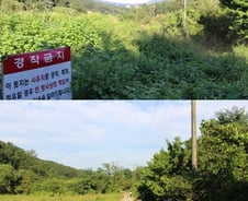 [르포]4년전 PF 대출, 직접 가보니 아직도 잡초만