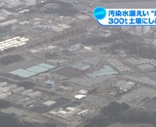 "후쿠시마 텃밭 채소 먹은 시민 3%, 방사능 피폭"