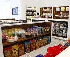 "6년 걸려 수의사됐는데…" 월급이 120만원?