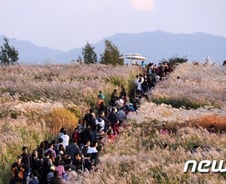 "성묘·단풍놀이 쯔쯔가무시 주의보…특히 여성·노인 조심"