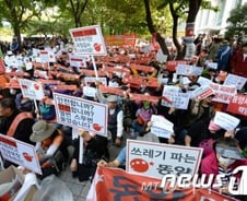 금감원, "필요시 동양피해자 소송도 지원" 