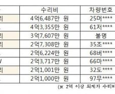 "사람 목숨값보다 비싼 외제차 수리비"