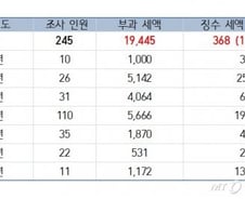 국세청,세무조사 2조 추징해놓고 징수는 380억원 그쳐