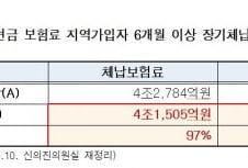 국민연금 장기체납자 중 31만명 해외여행 다녀와