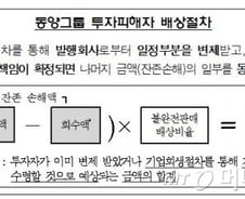 금감원 "동양사태 분쟁조정에 4~6개월 소요"