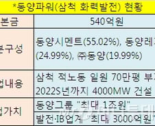 [단독]금융당국, 동양파워 '부풀리기' 의혹 집중조사 