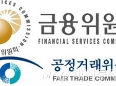 [단독]정부 당국, 현대차그룹 현대캐피탈 '정조준'