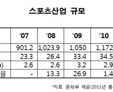 [단독]정부에 스포츠산업 전담부서 4년만에 부활