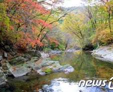 [단독]평창올림픽 예정 가리왕산 환경영향평가 "엉망"