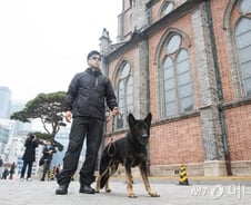 '명동성당 폭발물 설치 협박' 60대男 검거