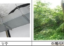 [단독]호랑이 사고 서울대공원, 곰·원숭이 탈출도 우려?