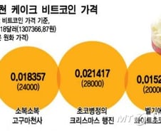 비트코인으로 X-마스 케익을 구매해볼까?