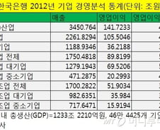 [뉴스&팩트]삼성-현대차가 韓 GDP 1/3 차지한다?