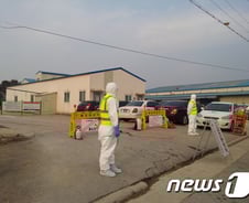 고창 AI 발생 오리 2만마리 살처분…AI 어떤 병인가 보니