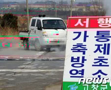 AI, 유독 전북에 자주 발병하는 이유 뭔가 봤더니···