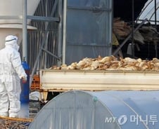 환경부, 22개 철새도래지 관찰 강화 "AI 적극대응"