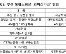 [단독]애경계열 AM플러스 부산'와이즈파크' 650억 매각