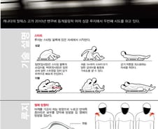 [그래픽] 소치동계올림픽 종목 - 루지