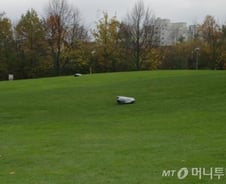 獨 자동화 전문기업 훼스토, '공기'로 세상을 호령하다