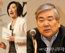 [단독]최은영 한진해운 회장, 회사 위해 지분 다 포기