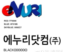 [단독] 보고펀드, 에누리닷컴 인수한다