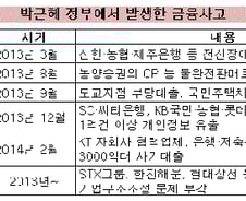 朴 정부,  사고 수습으로 점철된 금융정책 1년