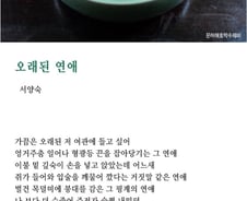 [오인태의 맛있는 詩 읽기]돌문어 국물이 왜 붉은가 했더니   