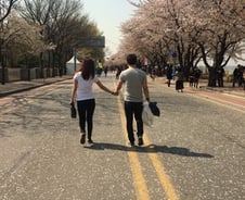 [르포] 여의도 벚꽃에 시민들 웃음꽃, 한편에선…