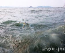 [단독] 탈출 선원들, 기름 차단조치도 안했다 "어민들 피해 막대"   